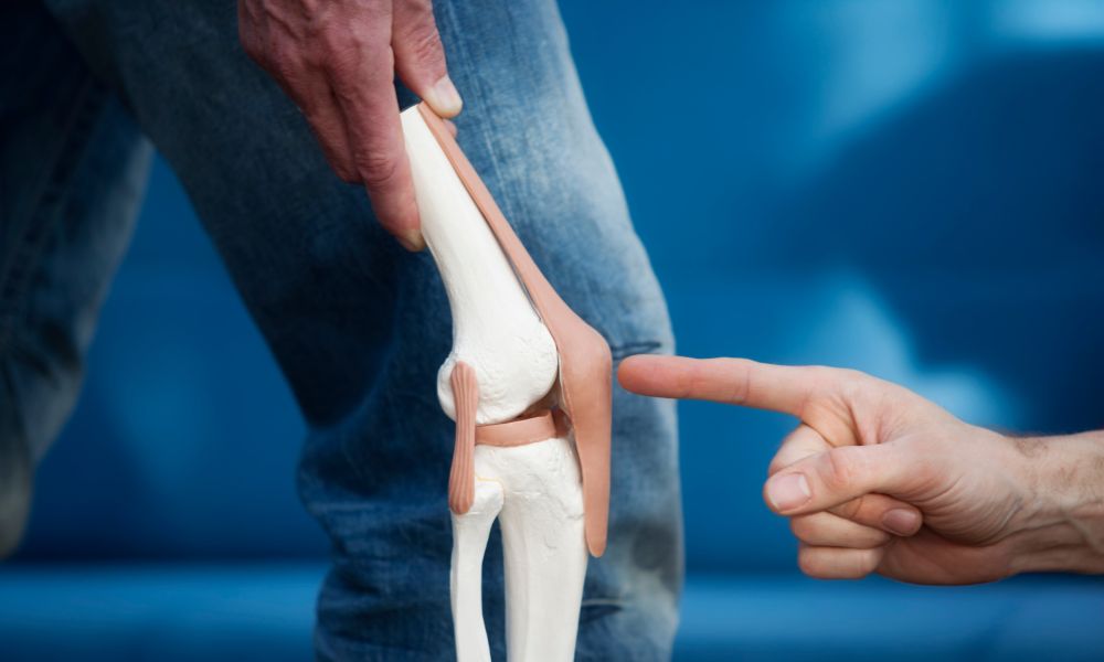 Knee Joint illustrative image of a pointing to knee joint